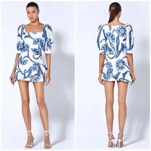 Alexis San Paolo Embroidered Blue and White Linen Toile Dress